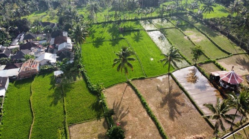 Alfarizi Homestay Тетебату Экстерьер фото